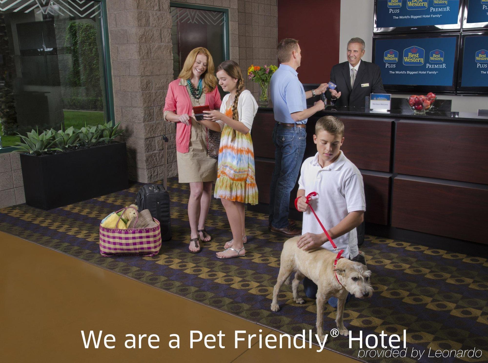 Best Western Rockland Extérieur photo
